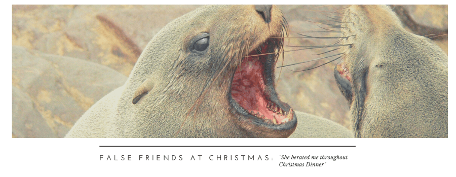 False Friends at Christmas: “She berated me throughout Christmas Dinner”
