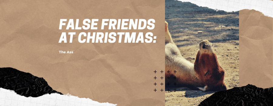 False Friends at Christmas: The Ass