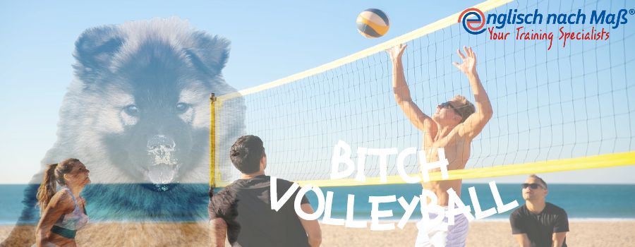 Englisch Falsche Freunde Beach Volleyball Bitch Volleyball Sprachfalle