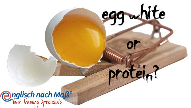 Text: egg white or protein Mausefalle mit zerbrochenem Ei