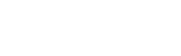 steag logo