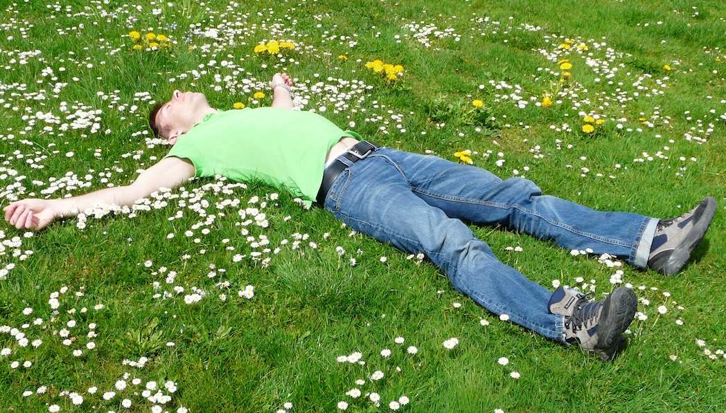 Junger Mann der auf dem Rücken in einer Blumenwiese liegt, alle viere von sich gestreckt